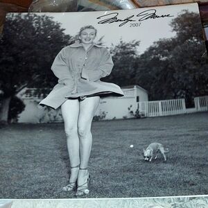 Marilyn Monroe 2007 calender smoke free home excellent condition